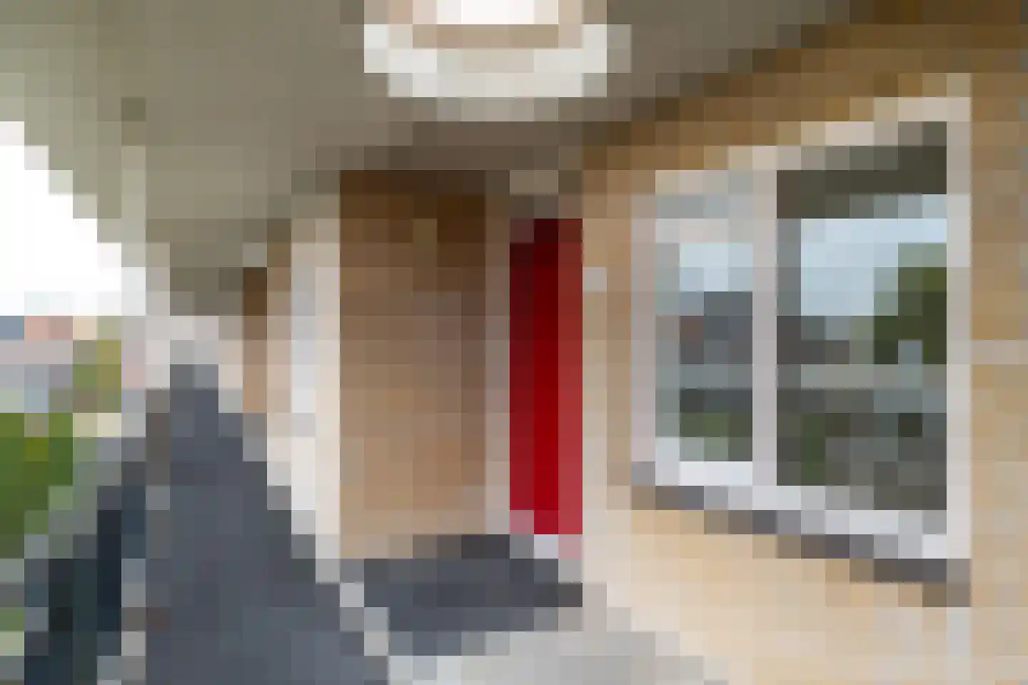 Rozenstraat 44 Aalsmeer thumbnail 4
