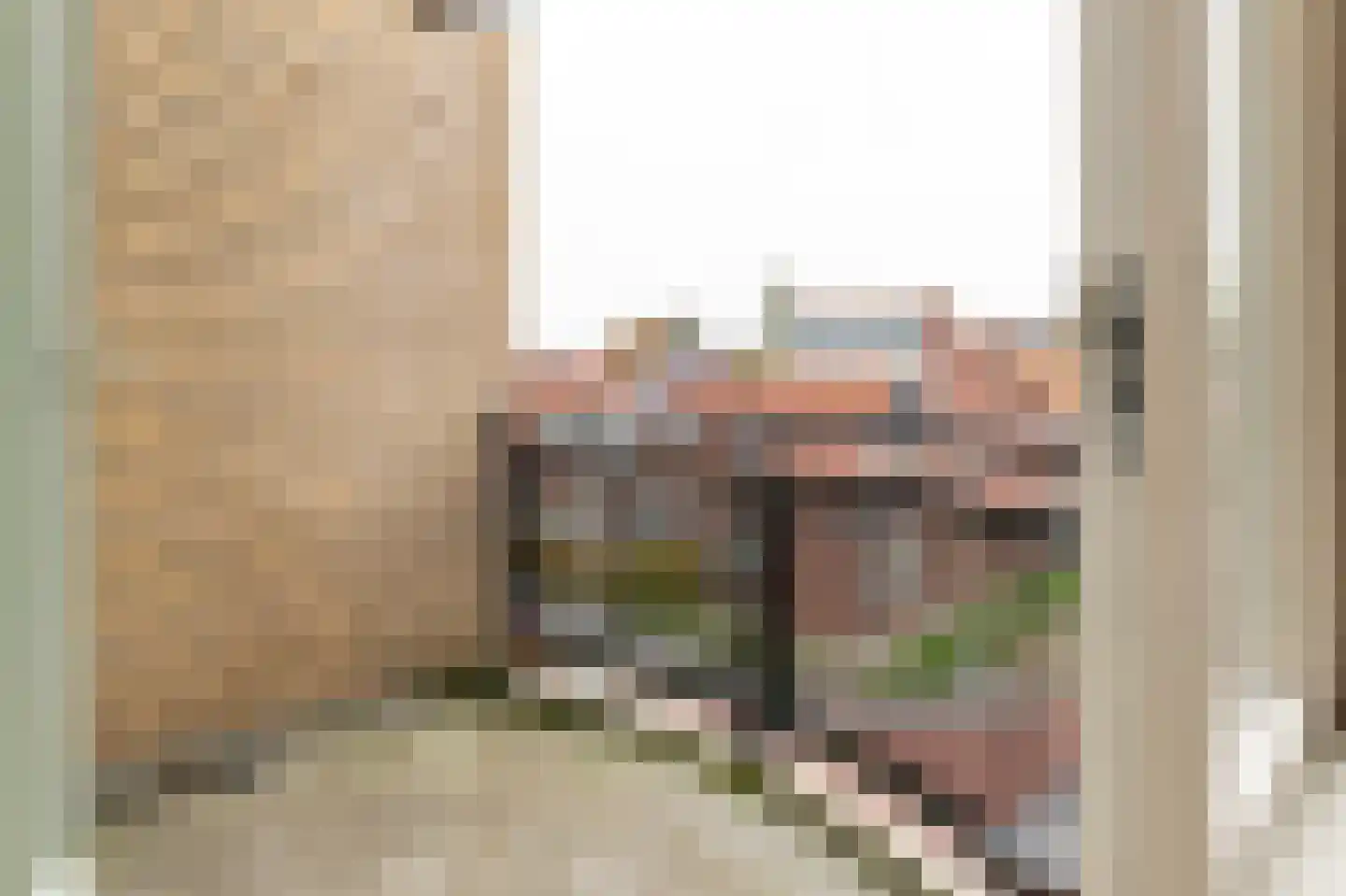 Rozenstraat 44 Aalsmeer thumbnail 8