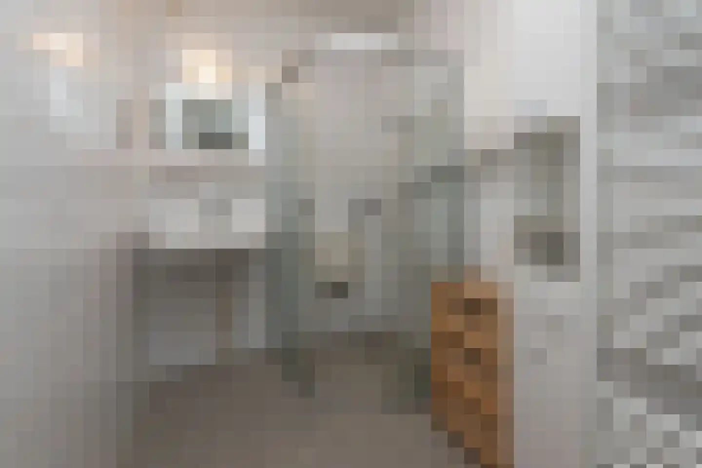 Rozenstraat 44 Aalsmeer thumbnail 8