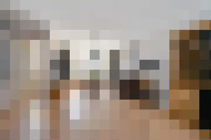 Rozenstraat 44 Rijswijk thumbnail 10