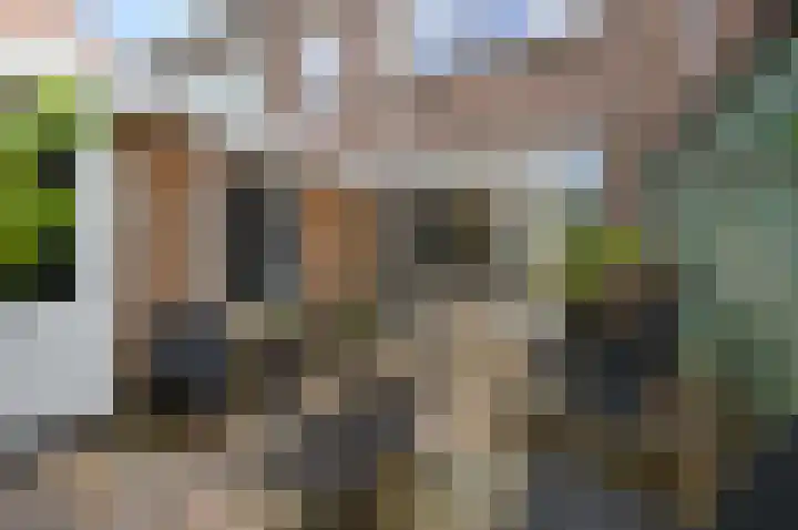 Rozenstraat 44 Rijswijk thumbnail 19
