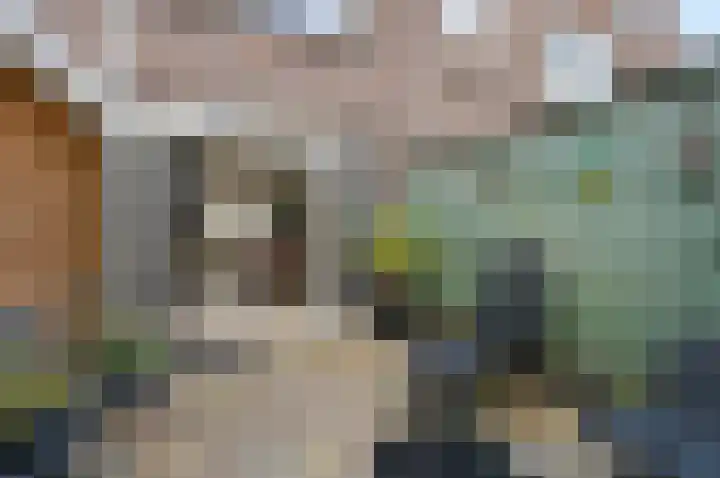 Rozenstraat 44 Rijswijk thumbnail 20