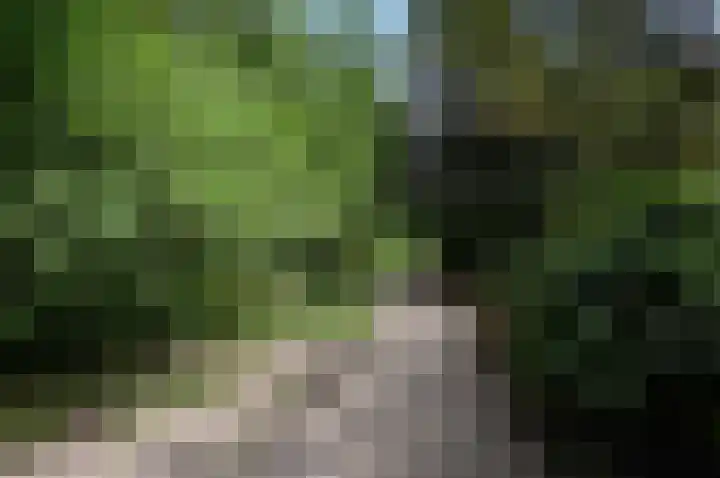 Rozenstraat 44 Rijswijk thumbnail 39