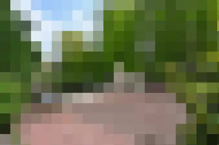 Rozenstraat 44 Rijswijk thumbnail 41