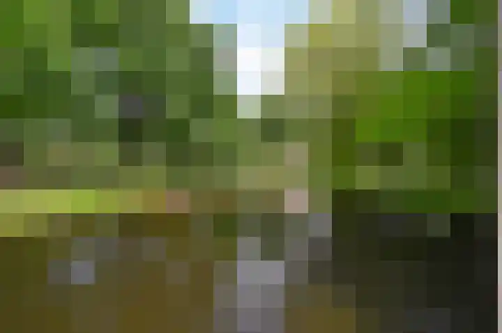 Rozenstraat 44 Rijswijk thumbnail 42