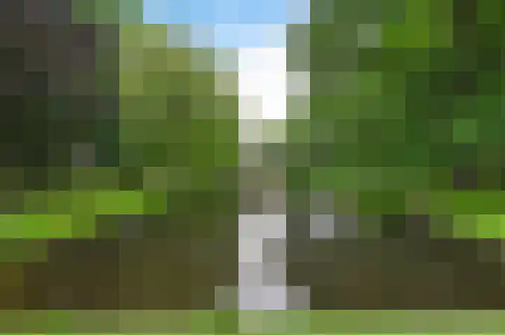 Rozenstraat 44 Rijswijk thumbnail 43