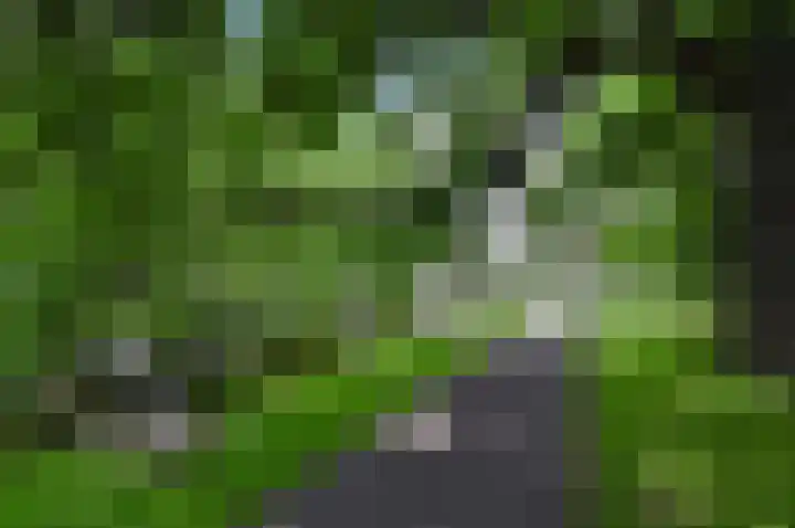 Rozenstraat 44 Rijswijk thumbnail 44