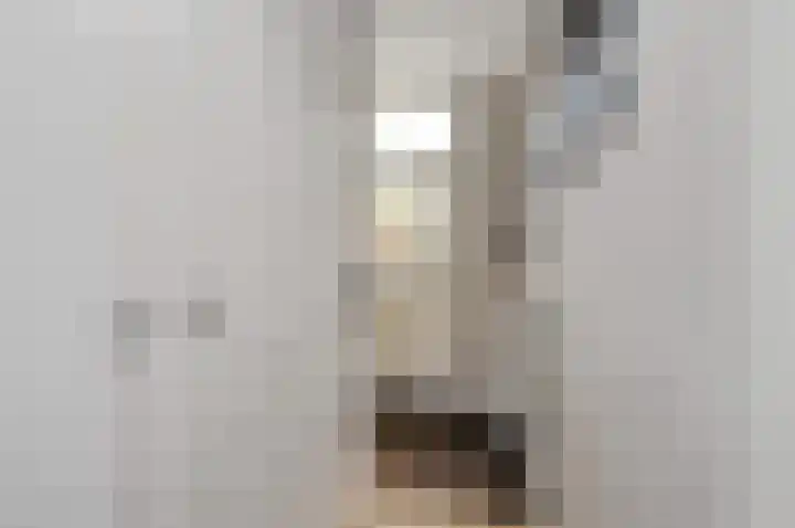 Rozenstraat 44 Rijswijk thumbnail 7