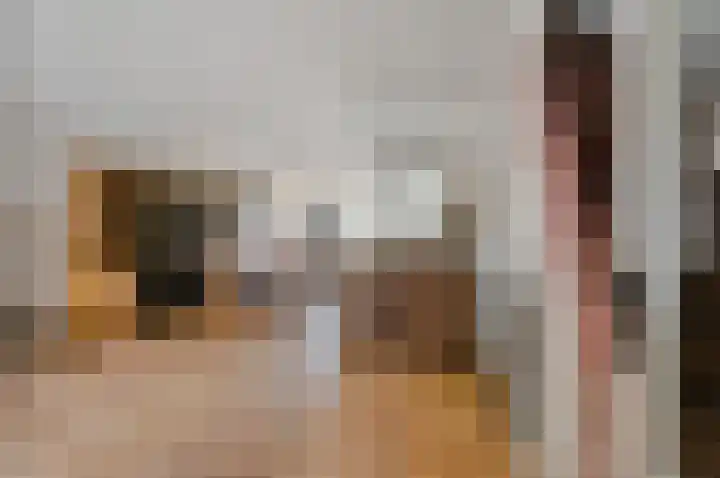 Rozenstraat 44 Rijswijk thumbnail 9
