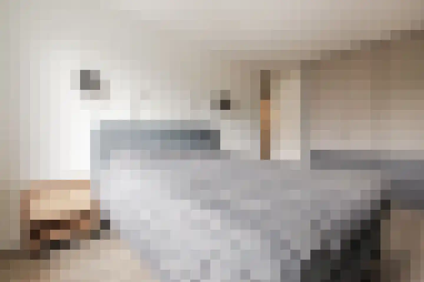 Rozenstraat 45 Bergen op Zoom thumbnail 15
