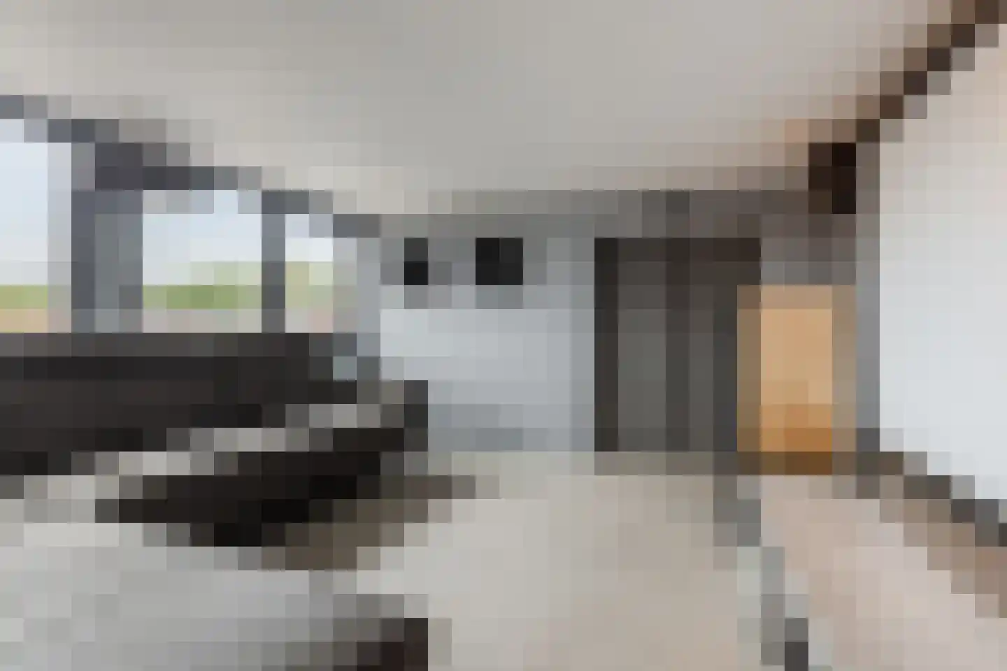 Rozenstraat 45 Bergen op Zoom thumbnail 30
