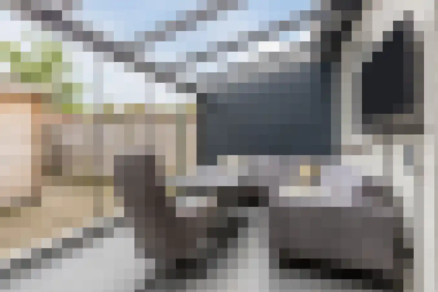 Rozenstraat 45 Bergen op Zoom thumbnail 33