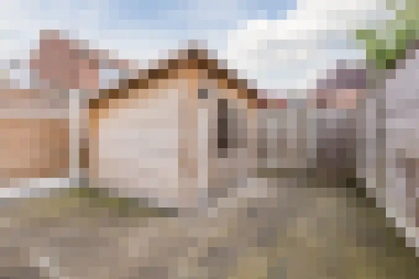 Rozenstraat 45 Bergen op Zoom thumbnail 36