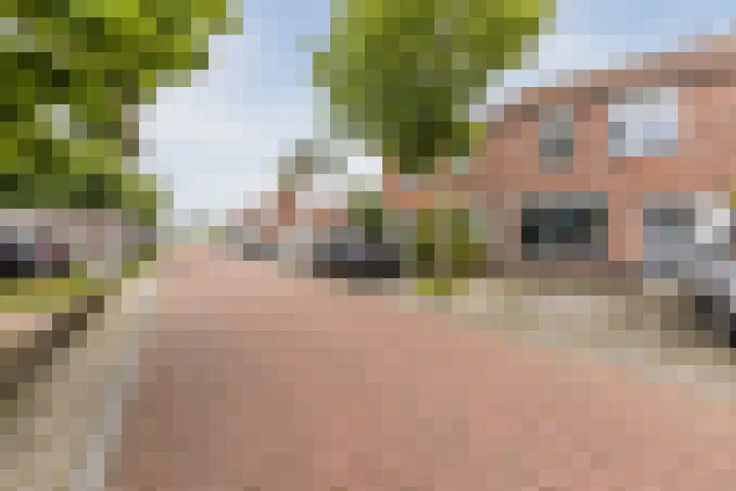 Rozenstraat 45 Bergen op Zoom thumbnail 40