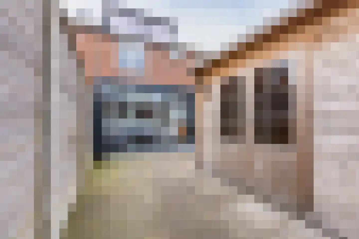 Rozenstraat 45 Bergen op Zoom thumbnail 5