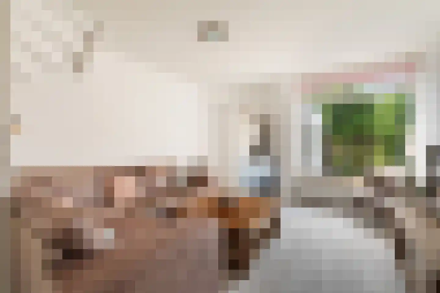 Rozenstraat 47 Alphen aan den Rijn thumbnail 15