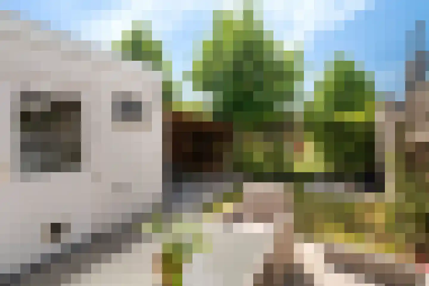 Rozenstraat 47 Alphen aan den Rijn thumbnail 26