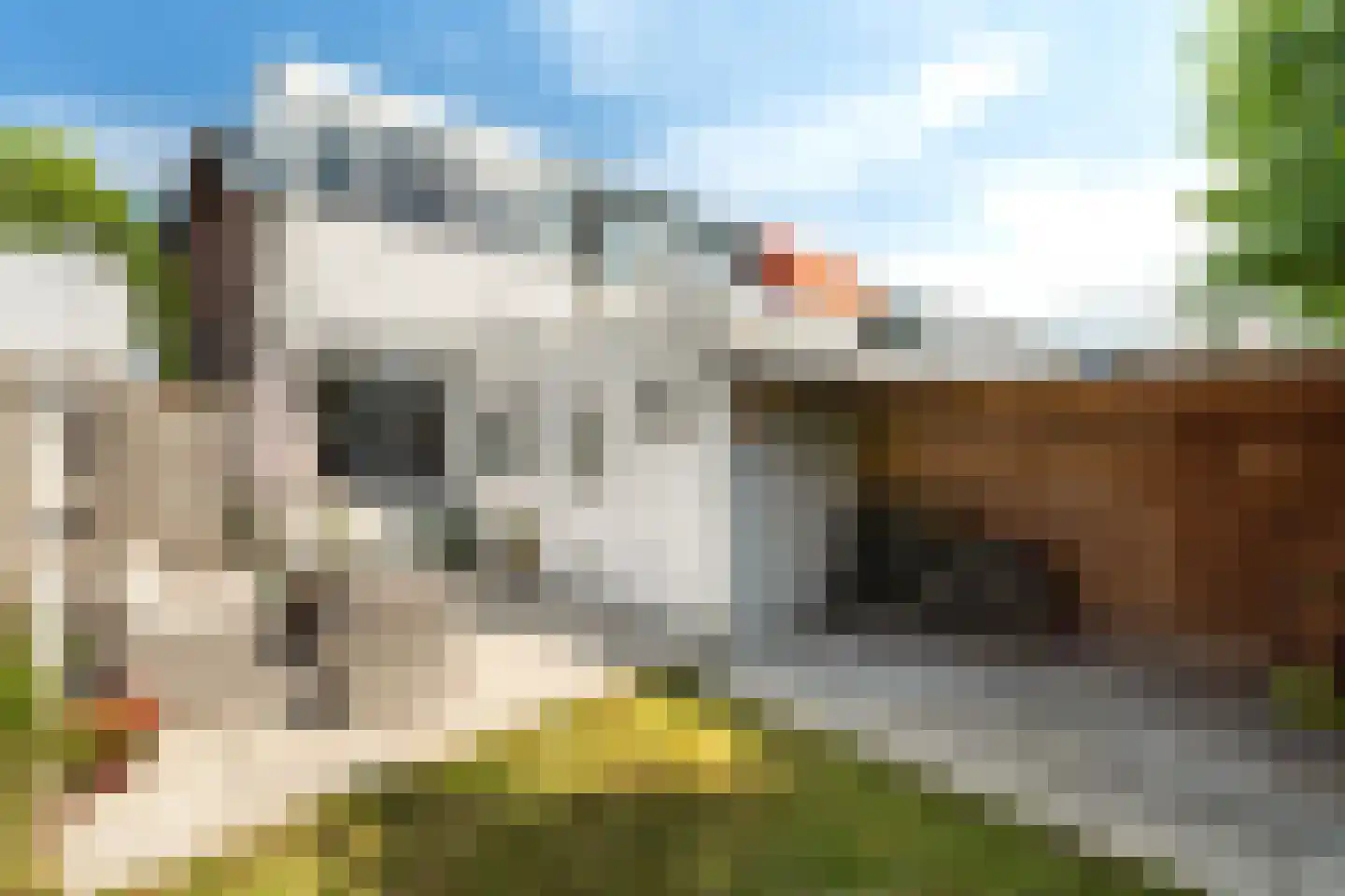 Rozenstraat 47 Alphen aan den Rijn thumbnail 27