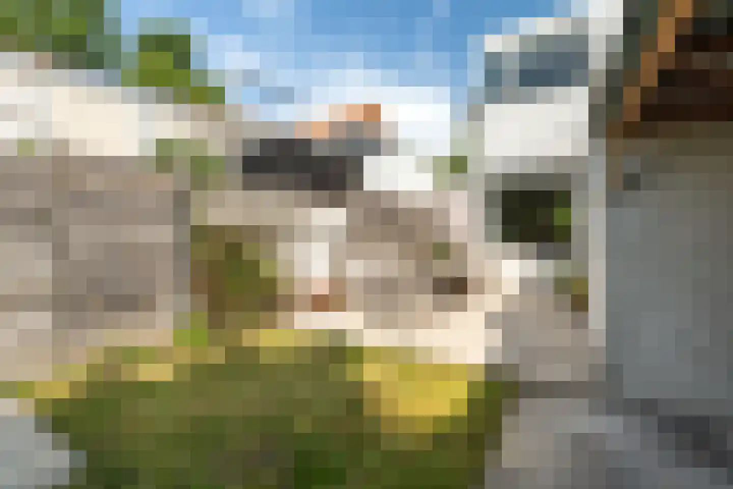 Rozenstraat 47 Alphen aan den Rijn thumbnail 29