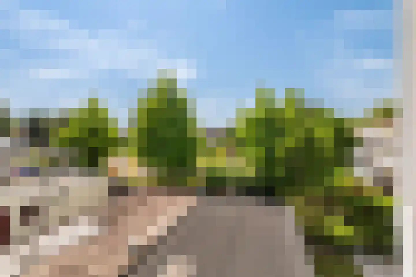 Rozenstraat 47 Alphen aan den Rijn thumbnail 35