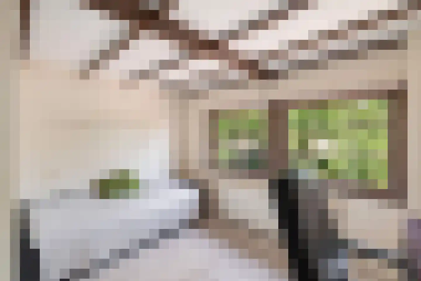 Rozenstraat 47 Alphen aan den Rijn thumbnail 37