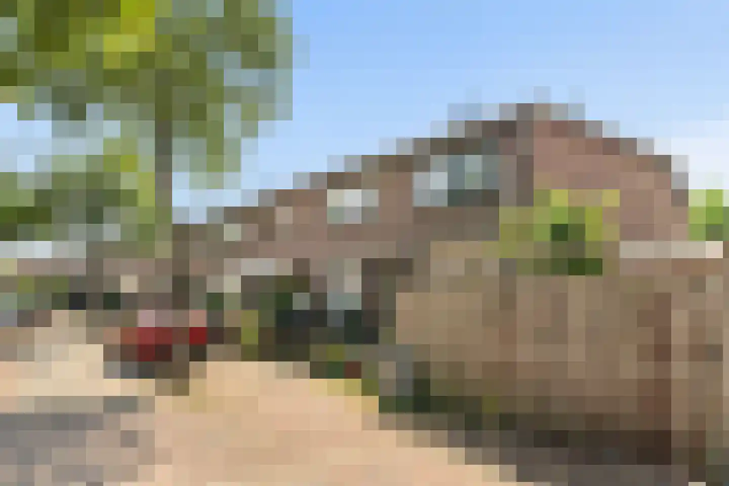 Rozenstraat 47 Alphen aan den Rijn thumbnail 6