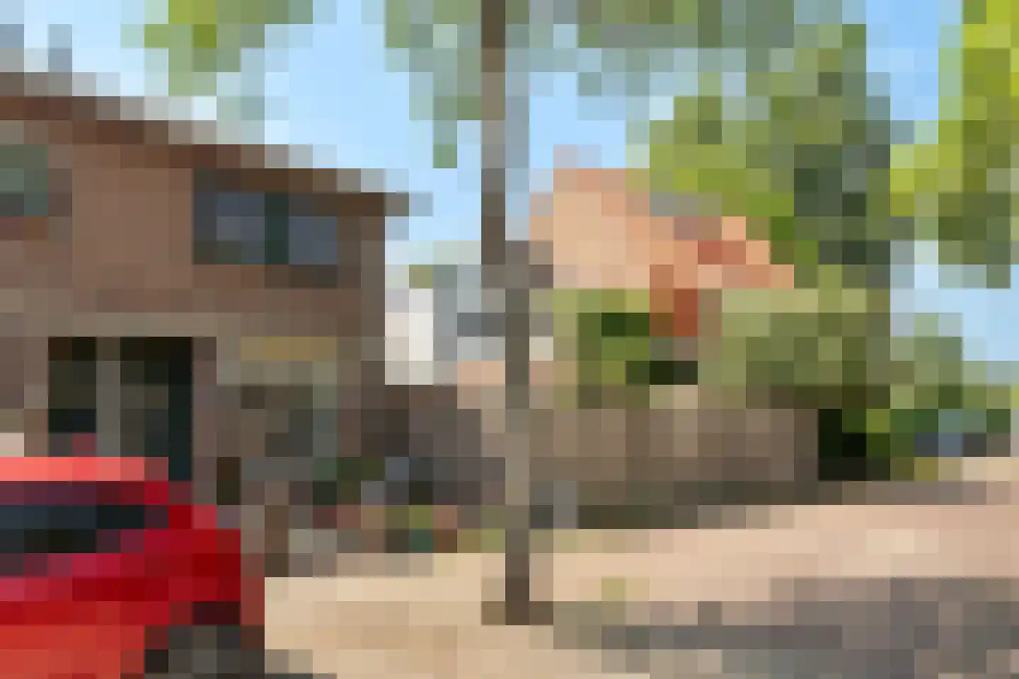 Rozenstraat 47 Alphen aan den Rijn thumbnail 7