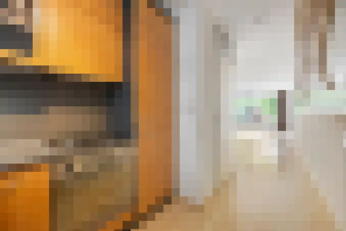 Rozenstraat 47 Barneveld thumbnail 11