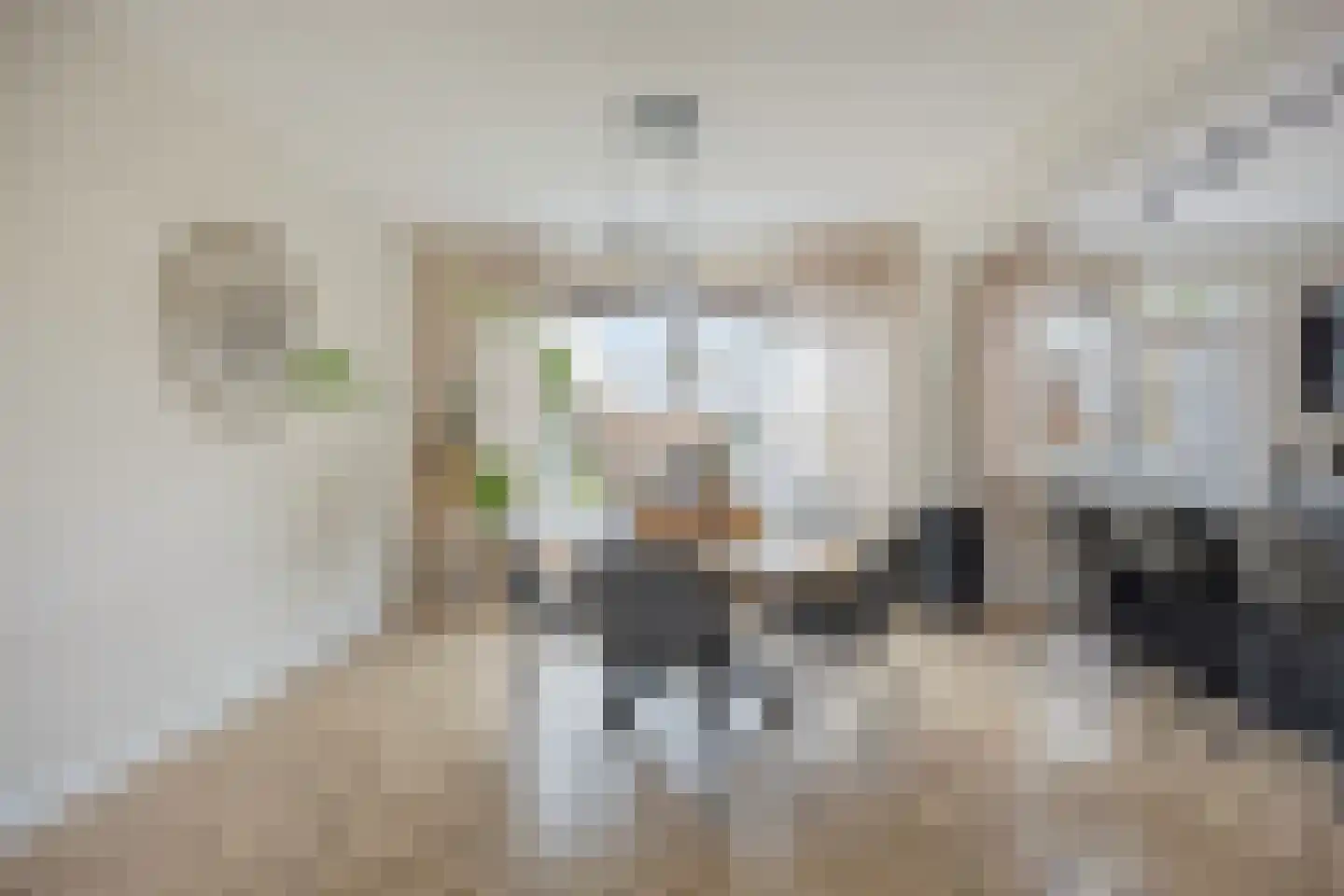 Rozenstraat 48 Didam thumbnail 10