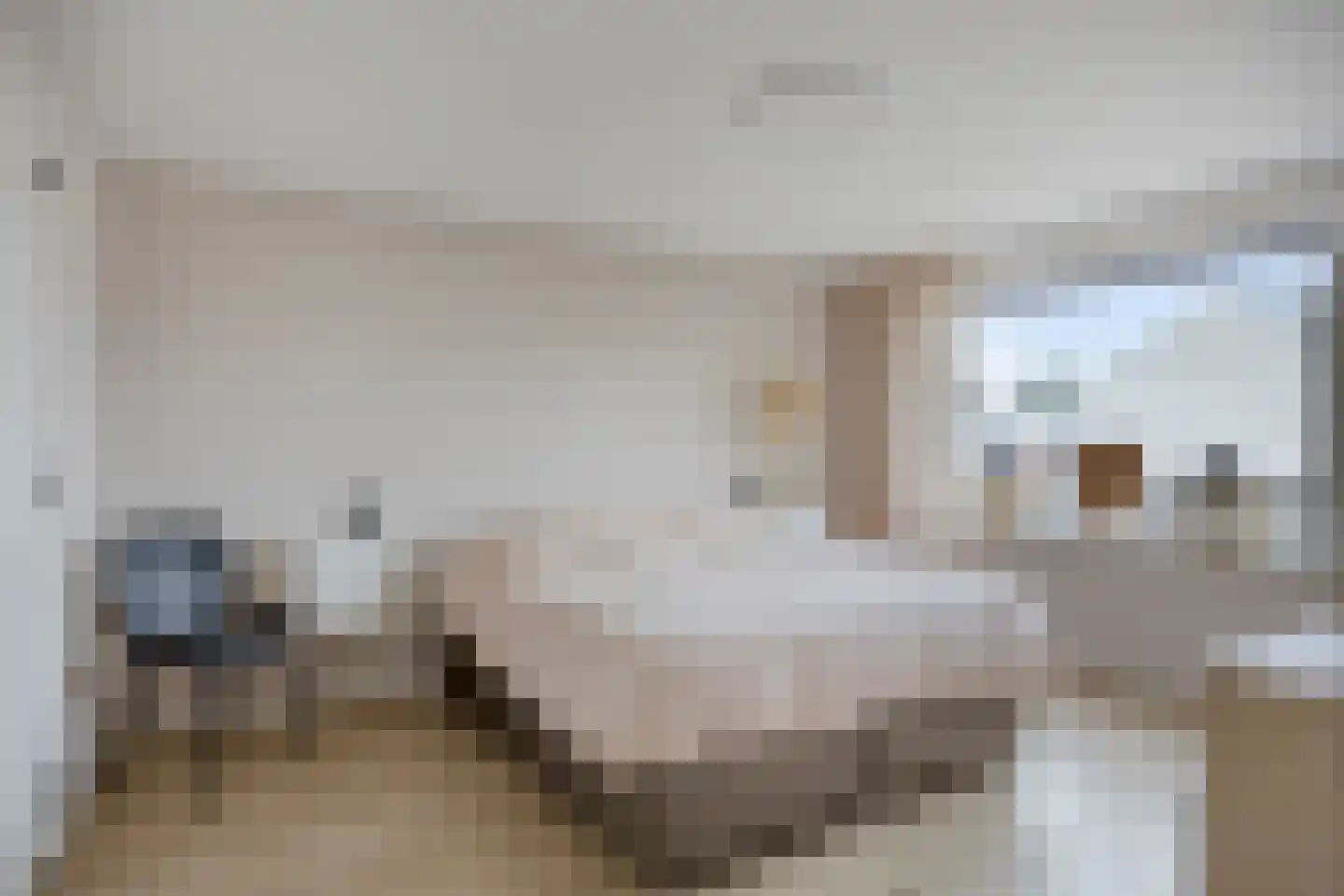 Rozenstraat 48 Didam thumbnail 22