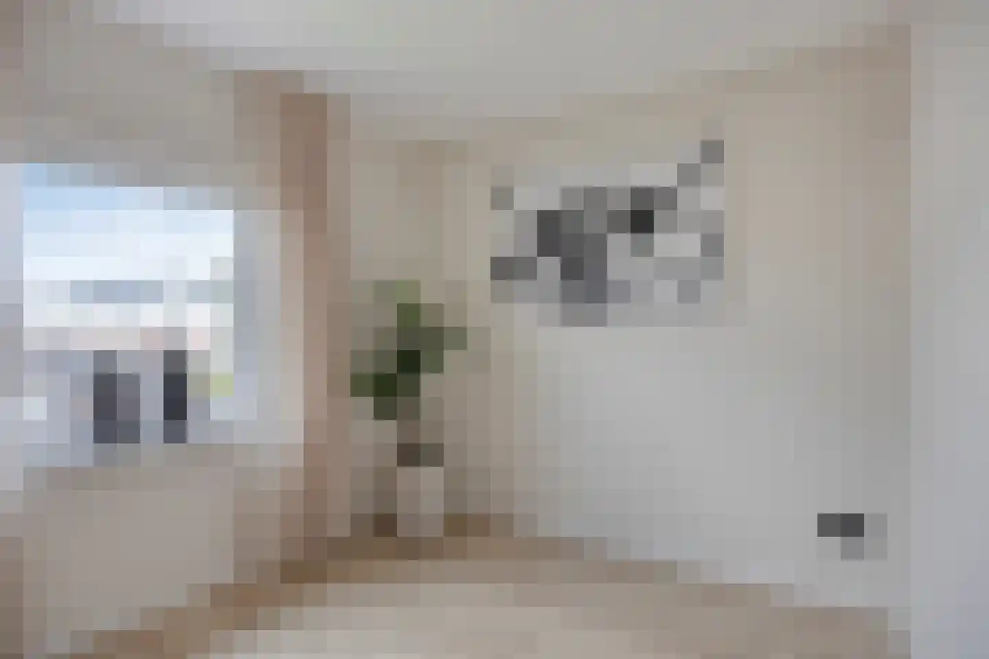 Rozenstraat 48 Didam thumbnail 26