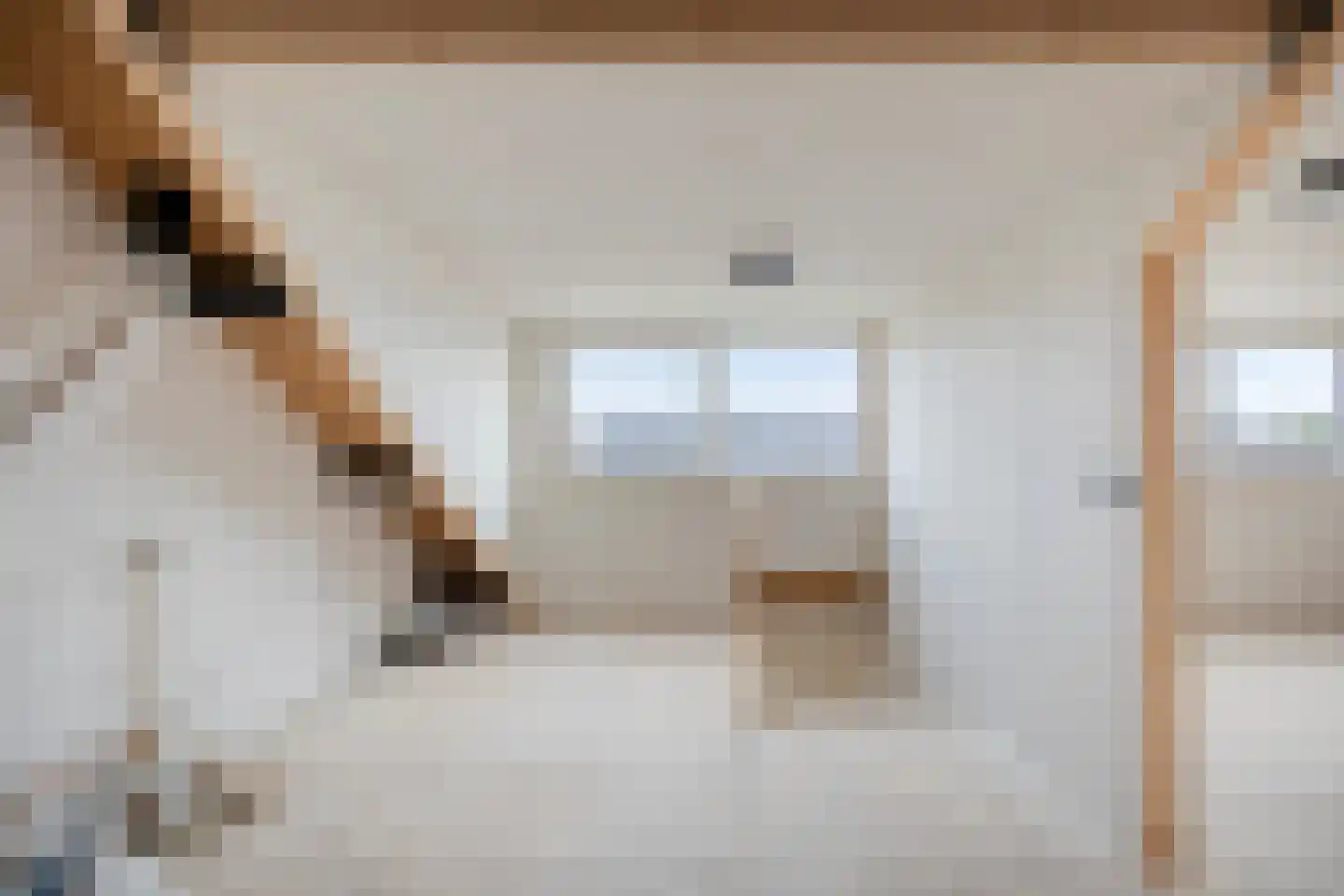 Rozenstraat 48 Didam thumbnail 30