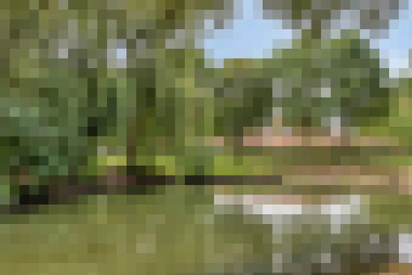 Rozenstraat 48 Didam thumbnail 33