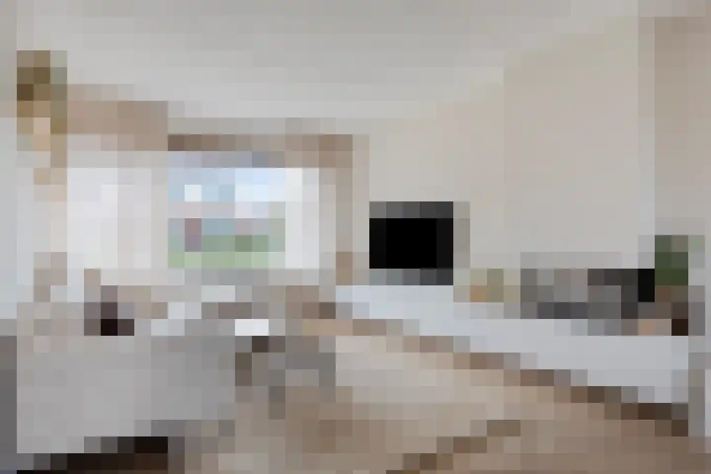 Rozenstraat 48 Didam thumbnail 7