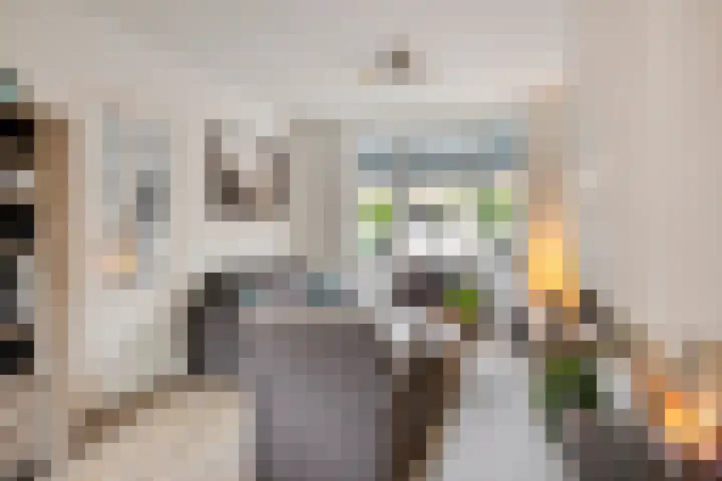 Rozenstraat 48 Koog aan de Zaan thumbnail 11