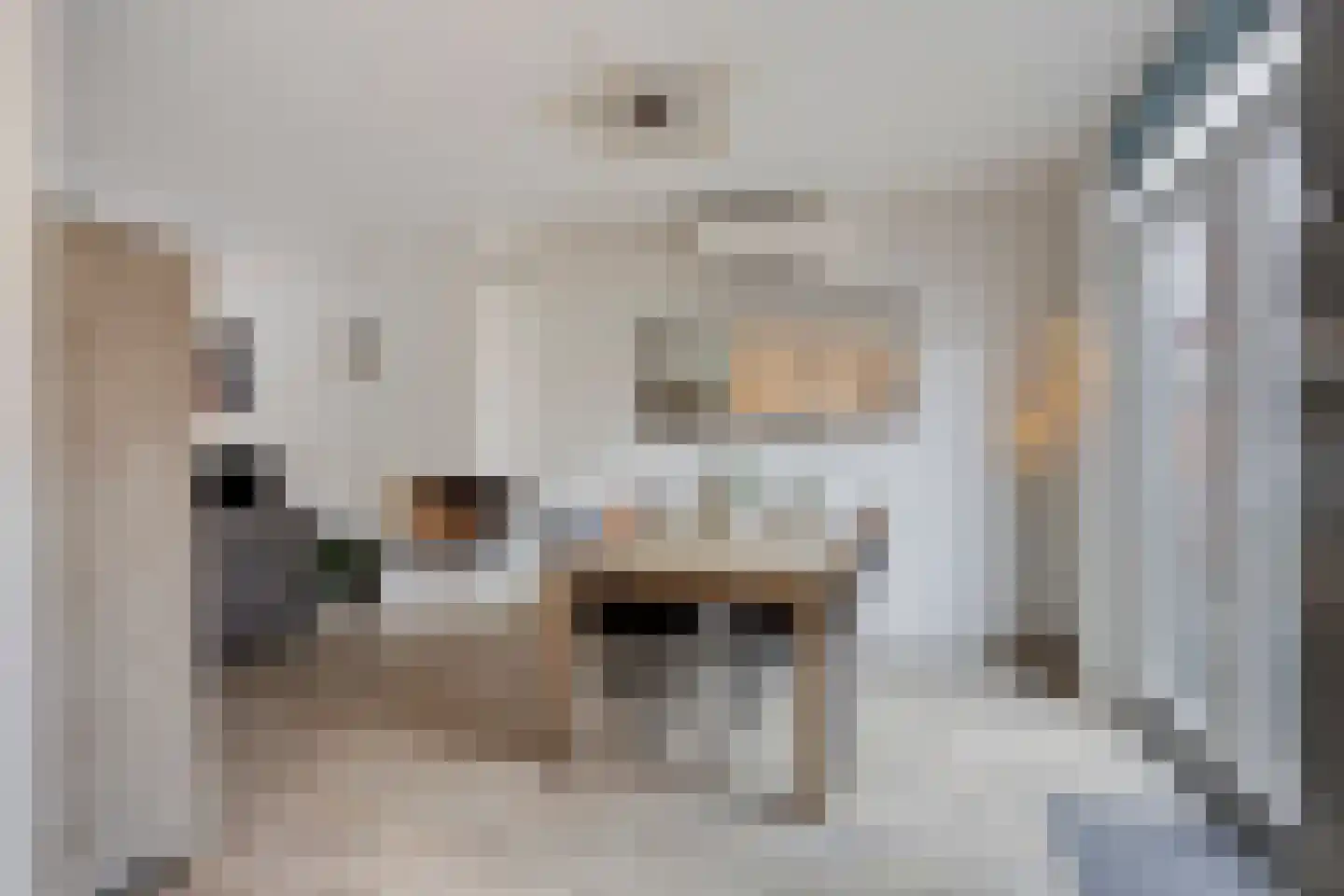 Rozenstraat 48 Koog aan de Zaan thumbnail 18