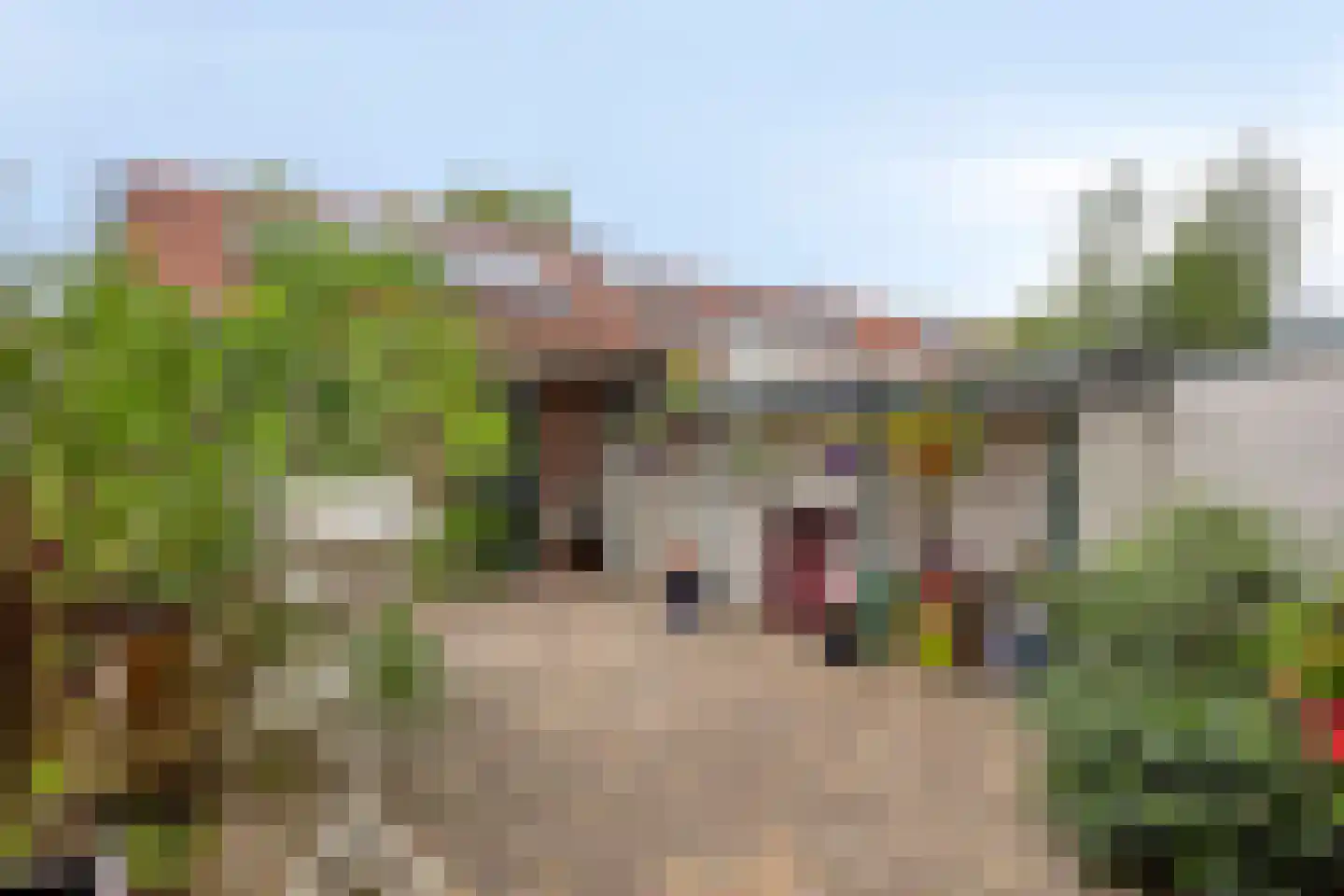 Rozenstraat 48 Koog aan de Zaan thumbnail 37