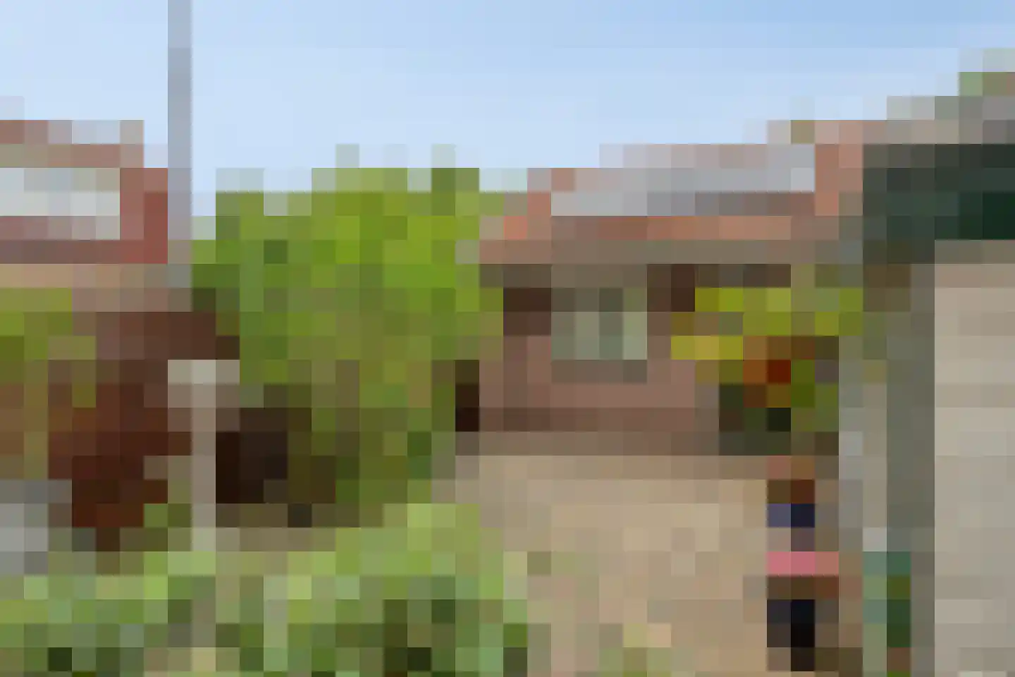 Rozenstraat 48 Koog aan de Zaan thumbnail 38