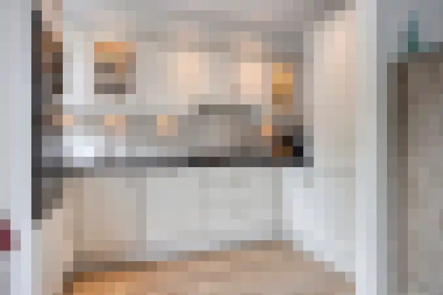 Rozenstraat 48 Koog aan de Zaan thumbnail 4