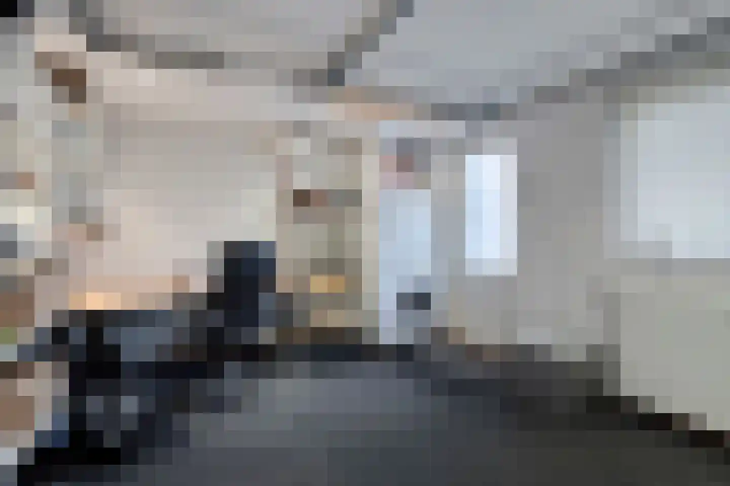 Rozenstraat 48 Koog aan de Zaan thumbnail 41