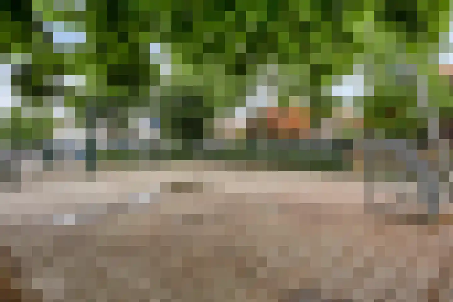 Rozenstraat 48 Koog aan de Zaan thumbnail 47