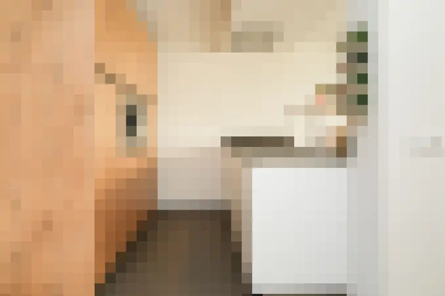 Rozenstraat 49 Beneden-Leeuwen thumbnail 12