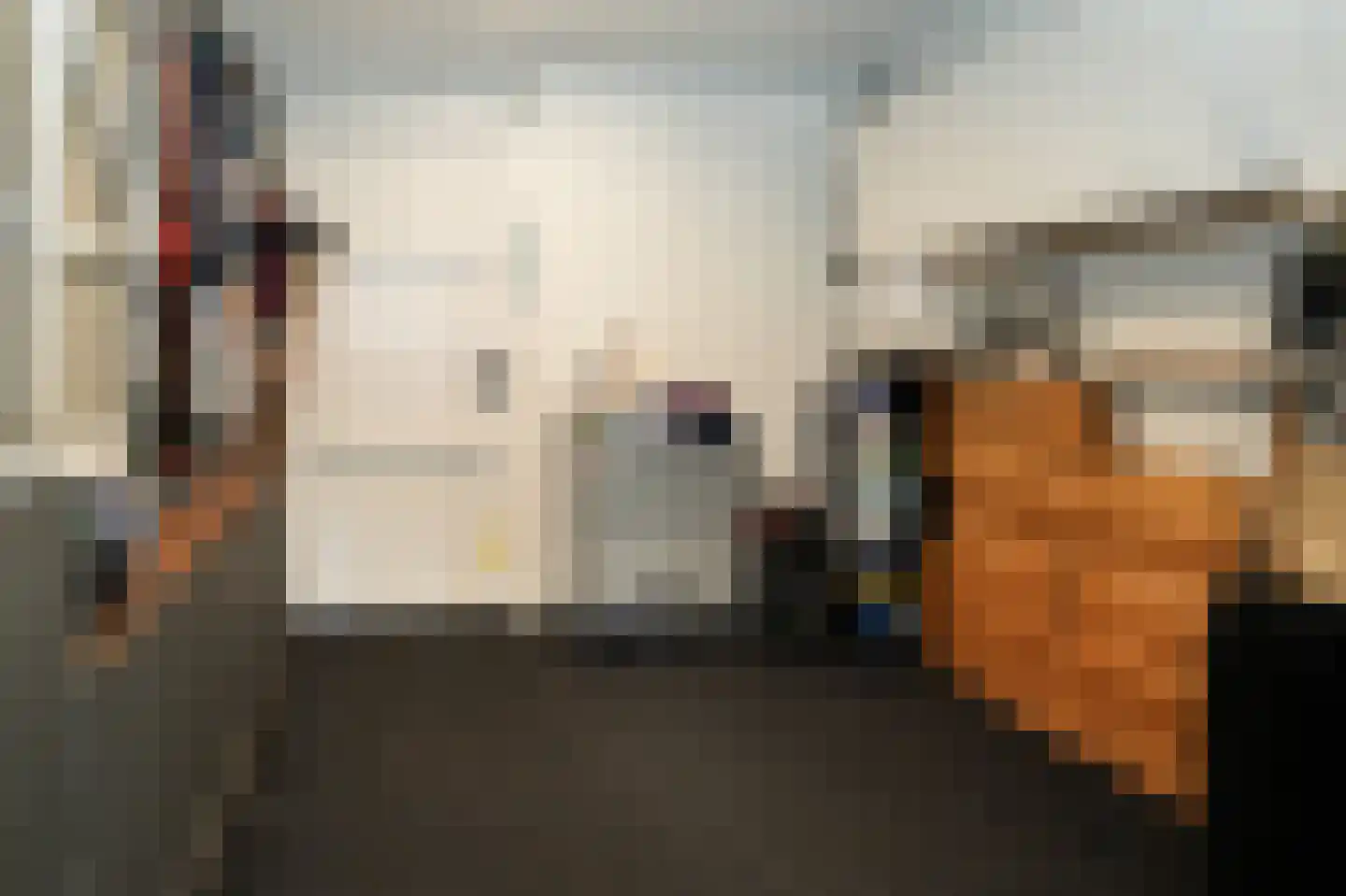 Rozenstraat 49 Beneden-Leeuwen thumbnail 20