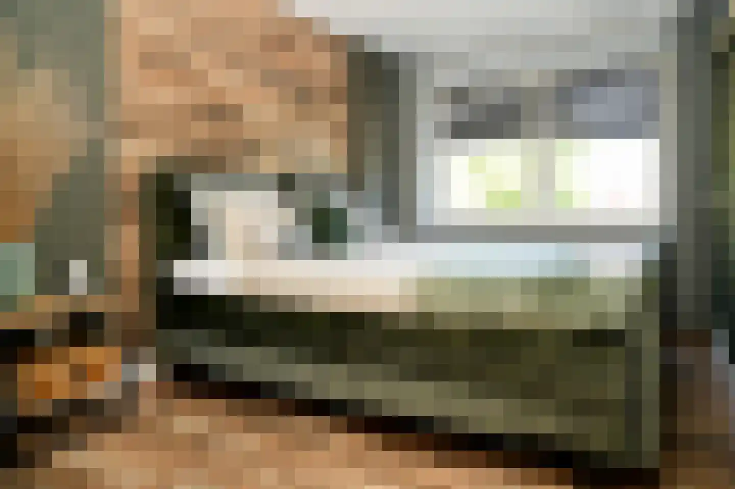 Rozenstraat 49 Beneden-Leeuwen thumbnail 22