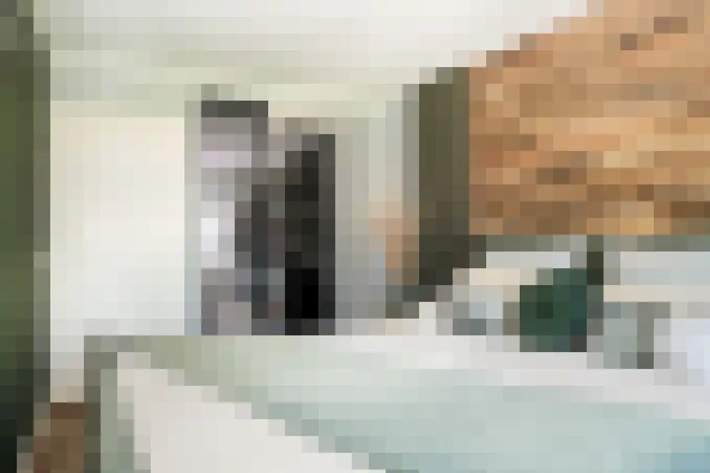 Rozenstraat 49 Beneden-Leeuwen thumbnail 23