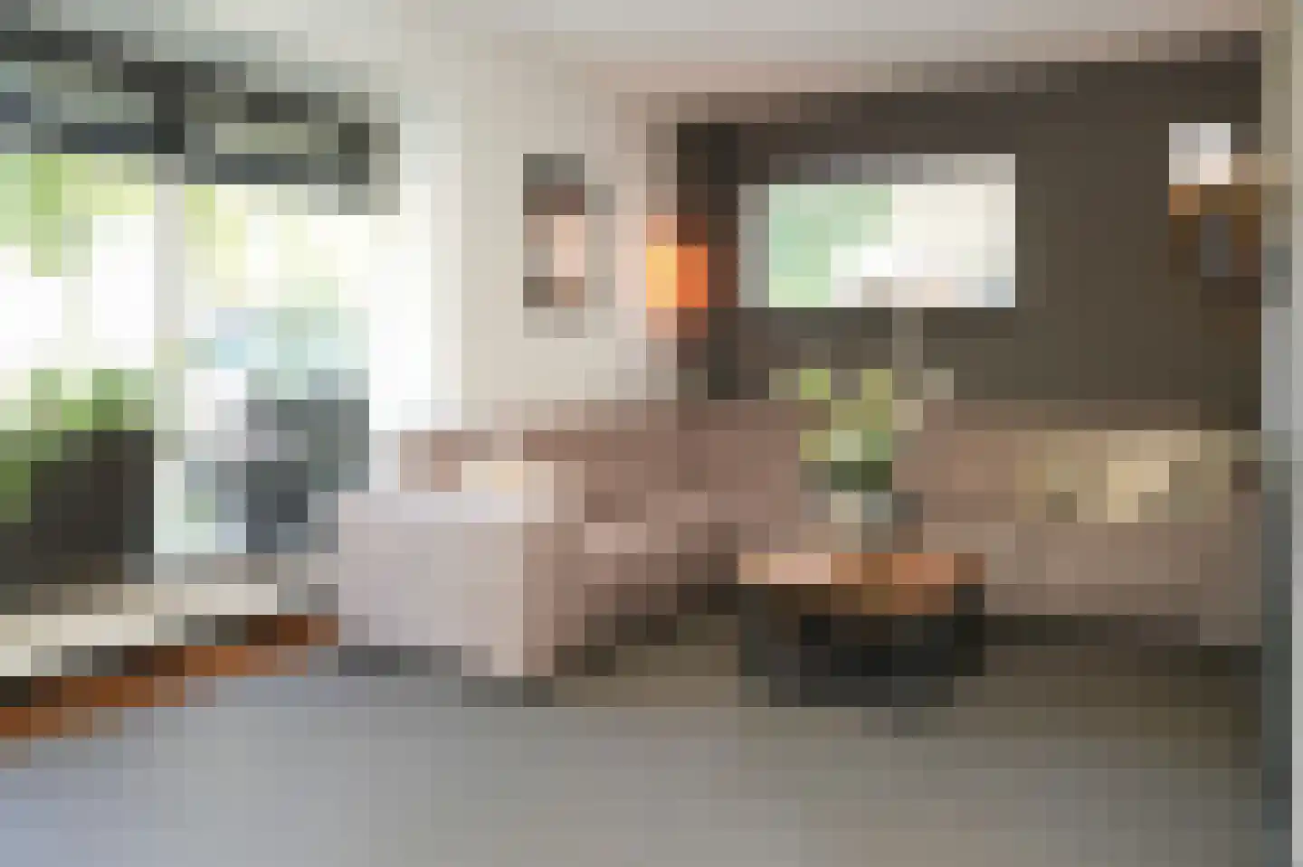 Rozenstraat 49 Beneden-Leeuwen thumbnail 6
