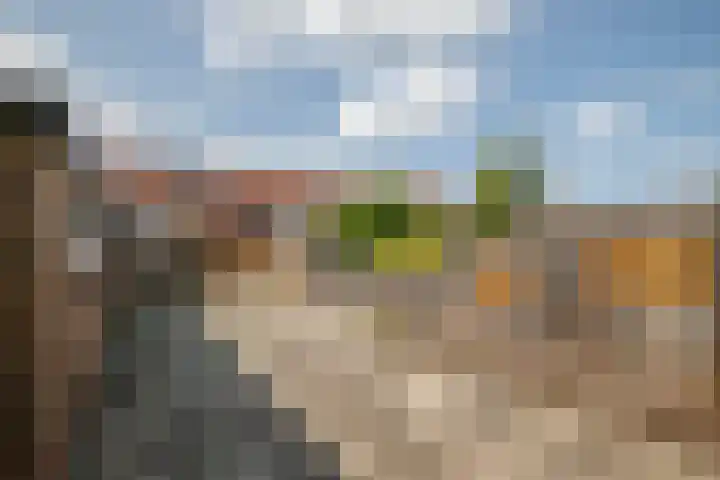 Rozenstraat 49 Zevenhuizen thumbnail 10