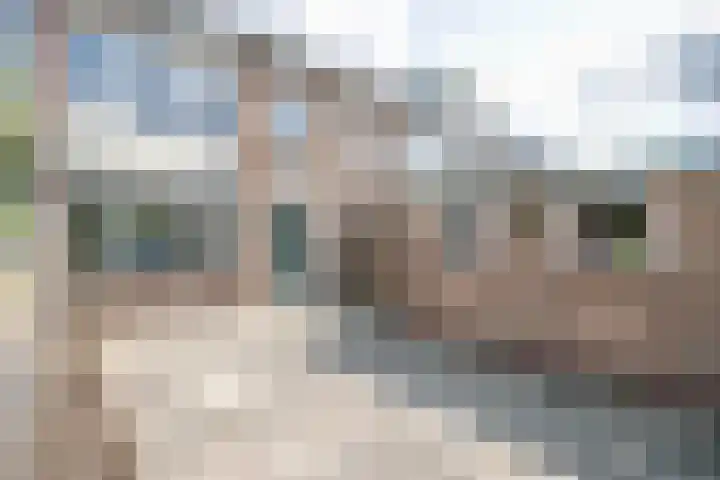 Rozenstraat 49 Zevenhuizen thumbnail 13