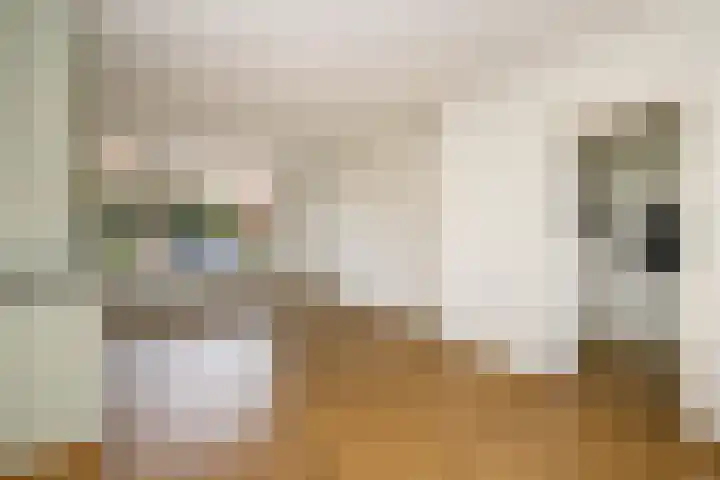 Rozenstraat 49 Zevenhuizen thumbnail 22