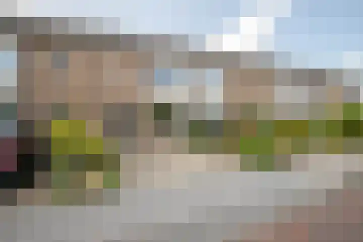 Rozenstraat 49 Zevenhuizen thumbnail 4